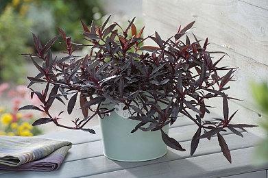 国内一人团队制作类银河恶魔城游戏《神陨之地》免费Demo已上线！